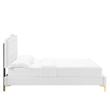 Modway Furniture Amber Tufted Performance Velvet Twin Platform Bed 0423 White MOD-6778-WHI