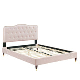 Modway Furniture Amber Performance Velvet Twin Platform Bed 0423 Pink MOD-6779-PNK