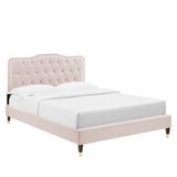 Modway Furniture Amber King Platform Bed 0423 Pink MOD-6785-PNK