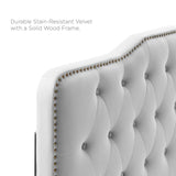 Modway Furniture Amber Tufted Performance Velvet King Platform Bed 0423 Light Gray MOD-6786-LGR