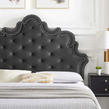 Modway Furniture Sasha Button-Tufted Performance Velvet Twin Bed 0423 Charcoal MOD-6787-CHA