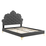 Modway Furniture Sasha Button-Tufted Performance Velvet Twin Bed 0423 Charcoal MOD-6787-CHA