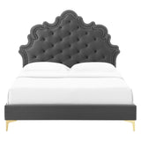 Modway Furniture Sasha Button-Tufted Performance Velvet Twin Bed 0423 Charcoal MOD-6787-CHA