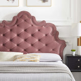 Modway Furniture Sasha Button-Tufted Performance Velvet Twin Bed 0423 Dusty Rose MOD-6787-DUS