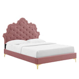 Modway Furniture Sasha Button-Tufted Performance Velvet Twin Bed 0423 Dusty Rose MOD-6787-DUS