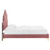 Modway Furniture Sasha Button-Tufted Performance Velvet Twin Bed 0423 Dusty Rose MOD-6787-DUS