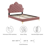 Modway Furniture Sasha Button-Tufted Performance Velvet Twin Bed 0423 Dusty Rose MOD-6787-DUS