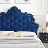 Modway Furniture Sasha Button-Tufted Performance Velvet Twin Bed 0423 Navy MOD-6787-NAV