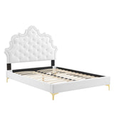 Modway Furniture Sasha Button-Tufted Performance Velvet Twin Bed 0423 White MOD-6787-WHI