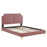 Modway Furniture Novi Performance Velvet Twin Bed 0423 Dusty Rose MOD-6788-DUS