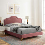 Modway Furniture Aviana Performance Velvet Twin Bed 0423 Dusty Rose MOD-6789-DUS