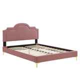 Modway Furniture Aviana Performance Velvet Twin Bed 0423 Dusty Rose MOD-6789-DUS