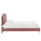 Modway Furniture Liva Performance Velvet Twin Bed 0423 Dusty Rose MOD-6791-DUS