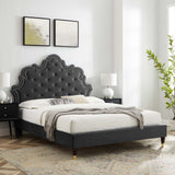 Modway Furniture Sasha Button-Tufted Performance Velvet Twin Bed 0423 Charcoal MOD-6792-CHA