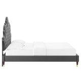 Modway Furniture Sasha Button-Tufted Performance Velvet Twin Bed 0423 Charcoal MOD-6792-CHA