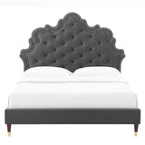 Modway Furniture Sasha Button-Tufted Performance Velvet Twin Bed 0423 Charcoal MOD-6792-CHA