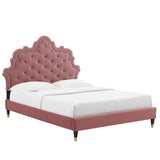 Modway Furniture Sasha Button-Tufted Performance Velvet Twin Bed 0423 Dusty Rose MOD-6792-DUS