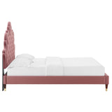 Modway Furniture Sasha Button-Tufted Performance Velvet Twin Bed 0423 Dusty Rose MOD-6792-DUS