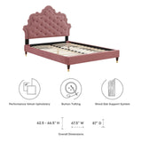 Modway Furniture Sasha Button-Tufted Performance Velvet Twin Bed 0423 Dusty Rose MOD-6792-DUS