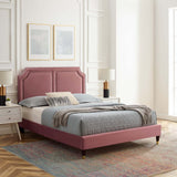 Modway Furniture Novi Performance Velvet Twin Bed 0423 Dusty Rose MOD-6793-DUS