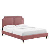 Modway Furniture Novi Performance Velvet Twin Bed 0423 Dusty Rose MOD-6793-DUS