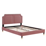 Modway Furniture Novi Performance Velvet Twin Bed 0423 Dusty Rose MOD-6793-DUS