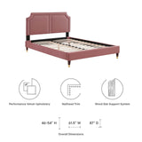 Modway Furniture Novi Performance Velvet Twin Bed 0423 Dusty Rose MOD-6793-DUS