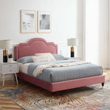 Modway Furniture Aviana Performance Velvet Twin Bed 0423 Dusty Rose MOD-6794-DUS