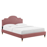 Modway Furniture Aviana Performance Velvet Twin Bed 0423 Dusty Rose MOD-6794-DUS