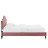 Modway Furniture Aviana Performance Velvet Twin Bed 0423 Dusty Rose MOD-6794-DUS