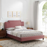 Modway Furniture Liva Performance Velvet Twin Bed 0423 Dusty Rose MOD-6796-DUS