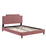 Modway Furniture Liva Performance Velvet Twin Bed 0423 Dusty Rose MOD-6796-DUS