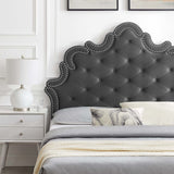 Modway Furniture Sasha Button-Tufted Performance Velvet Twin Bed 0423 Charcoal MOD-6797-CHA