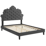 Modway Furniture Sasha Button-Tufted Performance Velvet Twin Bed 0423 Charcoal MOD-6797-CHA