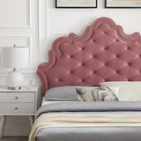 Modway Furniture Sasha Button-Tufted Performance Velvet Twin Bed 0423 Dusty Rose MOD-6797-DUS