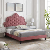 Modway Furniture Sasha Button-Tufted Performance Velvet Twin Bed 0423 Dusty Rose MOD-6797-DUS