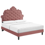 Modway Furniture Sasha Button-Tufted Performance Velvet Twin Bed 0423 Dusty Rose MOD-6797-DUS