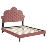 Modway Furniture Sasha Button-Tufted Performance Velvet Twin Bed 0423 Dusty Rose MOD-6797-DUS