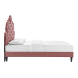 Modway Furniture Sasha Button-Tufted Performance Velvet Twin Bed 0423 Dusty Rose MOD-6797-DUS