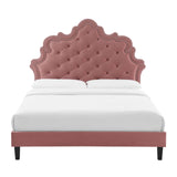 Modway Furniture Sasha Button-Tufted Performance Velvet Twin Bed 0423 Dusty Rose MOD-6797-DUS