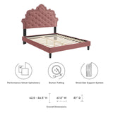 Modway Furniture Sasha Button-Tufted Performance Velvet Twin Bed 0423 Dusty Rose MOD-6797-DUS