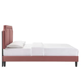 Modway Furniture Novi Performance Velvet Twin Bed 0423 Dusty Rose MOD-6798-DUS