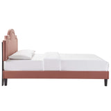 Modway Furniture Aviana Performance Velvet Twin Bed 0423 Dusty Rose MOD-6799-DUS