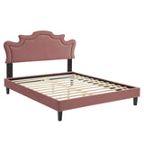 Modway Furniture Neena Performance Velvet Twin Bed 0423 Dusty Rose MOD-6800-DUS