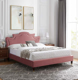 Modway Furniture Neena Performance Velvet Full Bed 0423 Dusty Rose MOD-6810-DUS