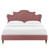 Modway Furniture Neena Performance Velvet Full Bed 0423 Dusty Rose MOD-6810-DUS