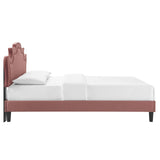 Modway Furniture Neena Performance Velvet Full Bed 0423 Dusty Rose MOD-6815-DUS