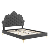 Modway Furniture Sasha Button-Tufted Performance Velvet King Bed 0423 Charcoal MOD-6832-CHA
