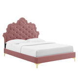 Modway Furniture Sasha Button-Tufted Performance Velvet King Bed 0423 Dusty Rose MOD-6832-DUS