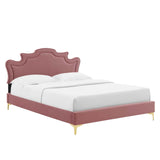 Modway Furniture Neena Performance Velvet King Bed 0423 Dusty Rose MOD-6835-DUS